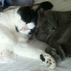 Meet your Posher, Julie